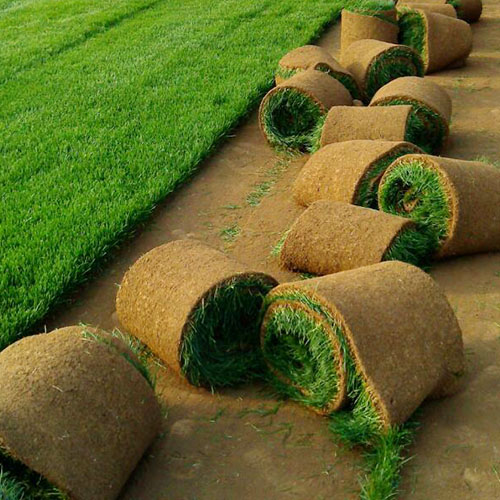 锦州人造草坪