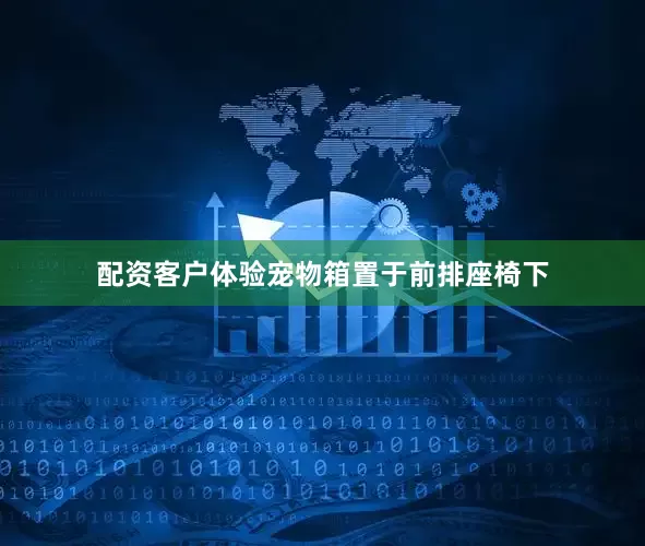 配资客户体验宠物箱置于前排座椅下