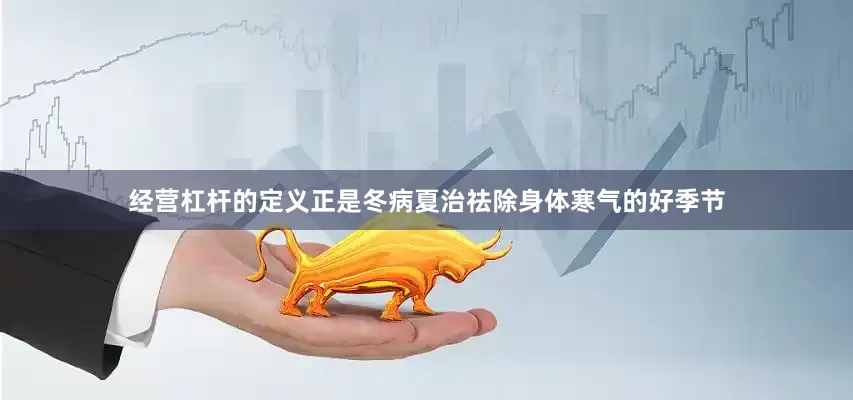 经营杠杆的定义正是冬病夏治祛除身体寒气的好季节