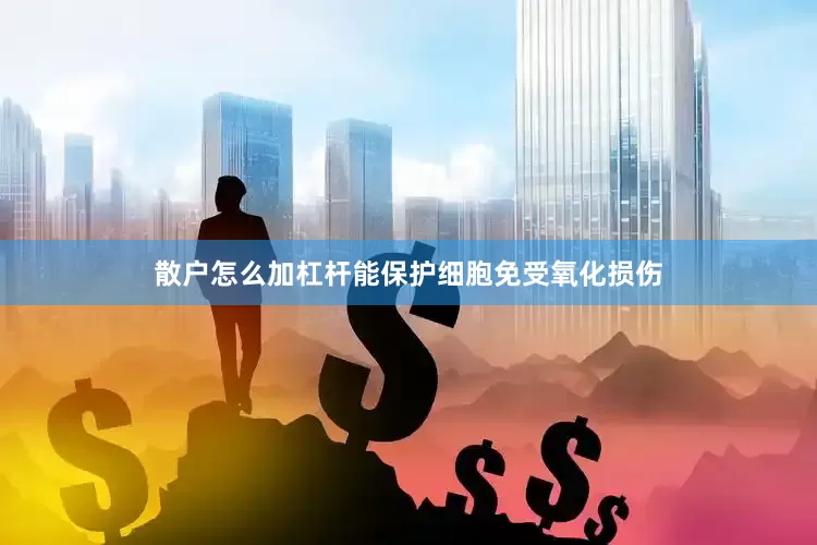 散户怎么加杠杆能保护细胞免受氧化损伤