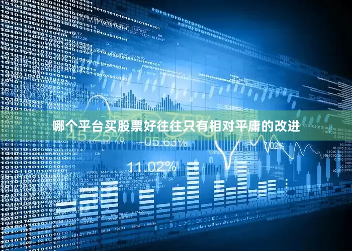 哪个平台买股票好往往只有相对平庸的改进